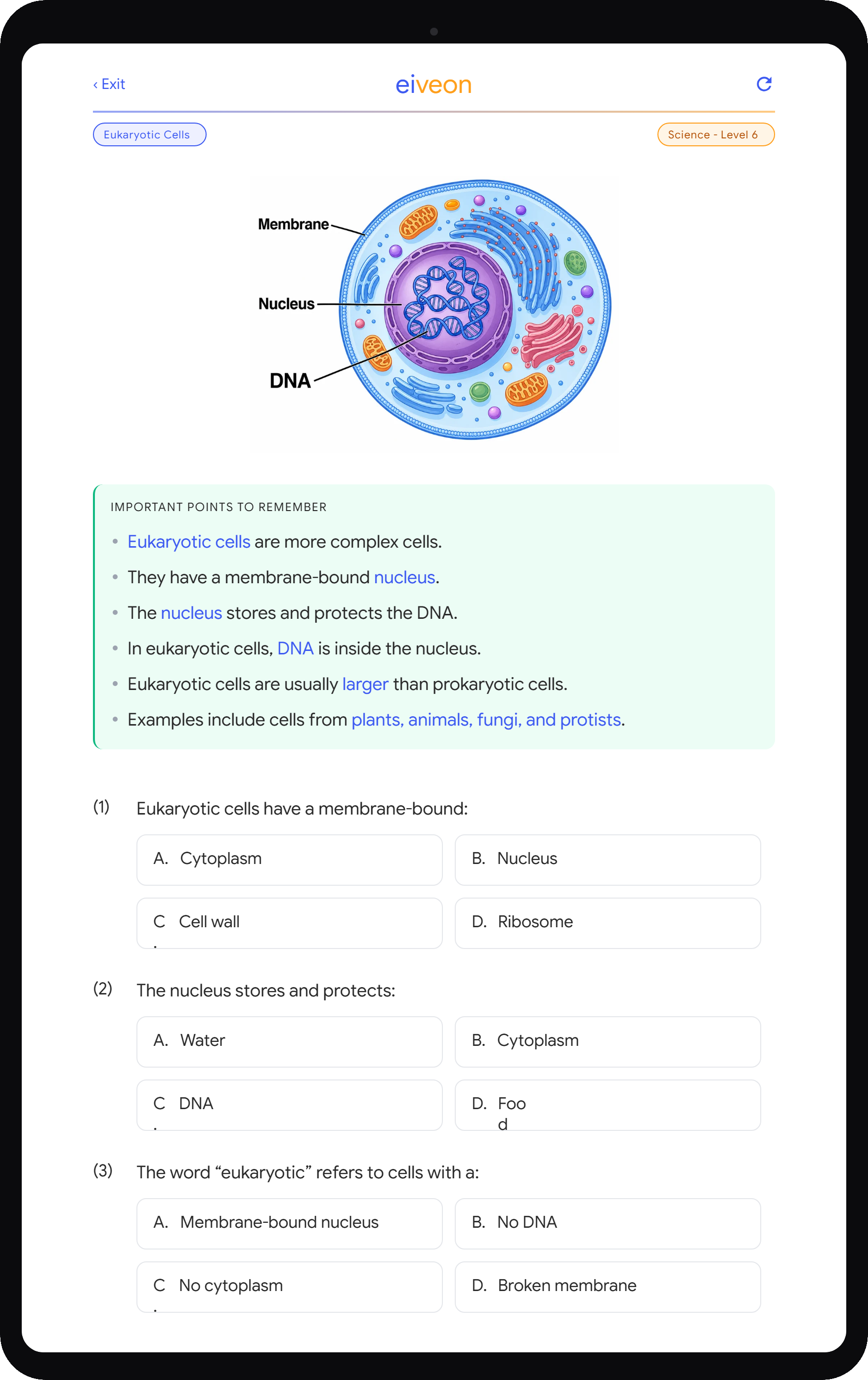 eiveon Eukaryotic Cells worksheet — Science Level 6