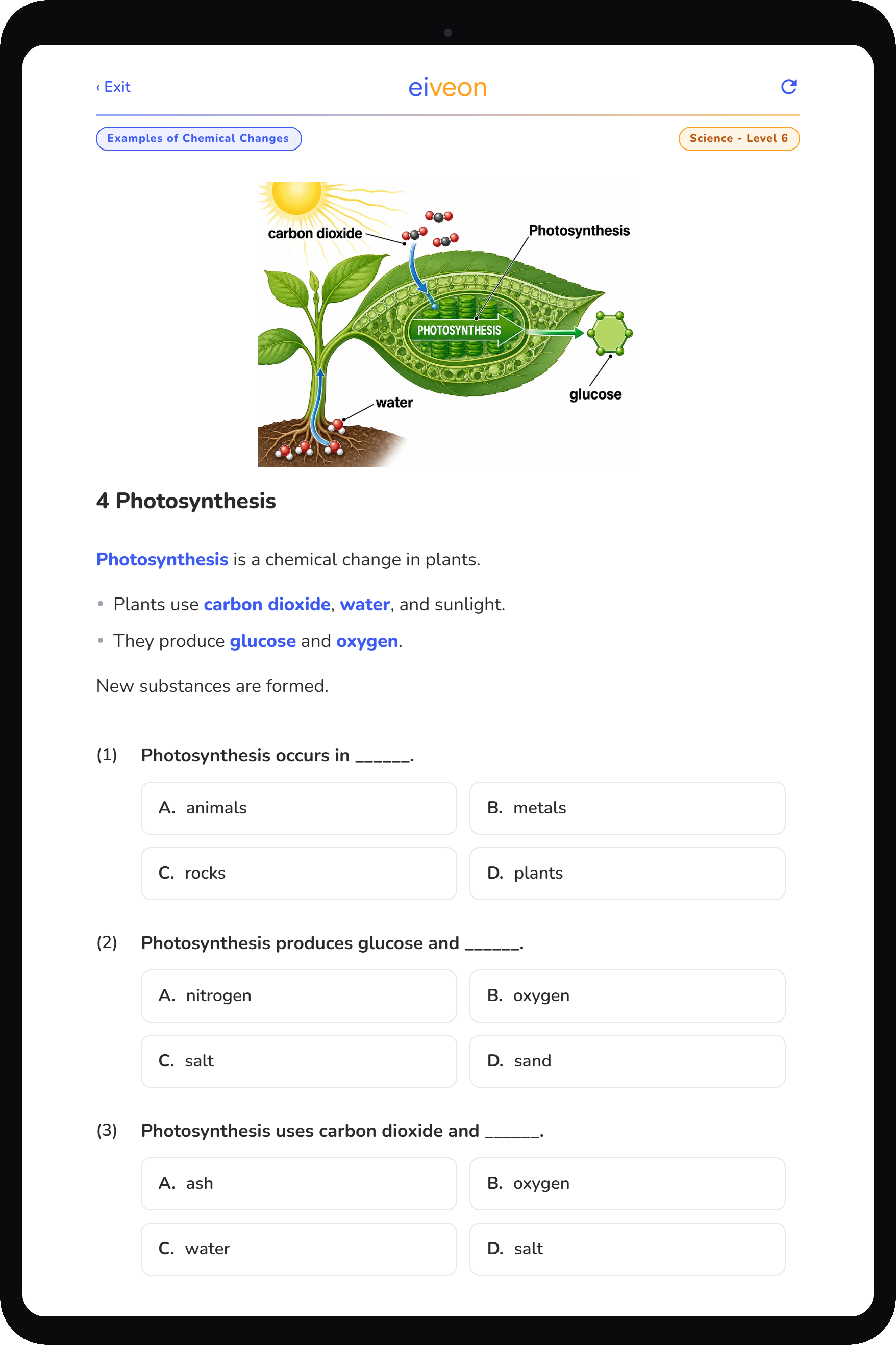 eiveon Photosynthesis worksheet — Science Level 6